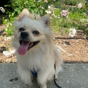 Meet your Posher, Kyle